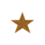  Bronze Star Device