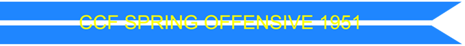 United States Air Force Korean Service Campaign Streamer (USAF)