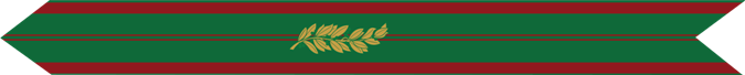United States Marine Corps Republic of Vietnam Meritorious Unit Citation Civil Actions Streamer with Palm Campaign Streamer