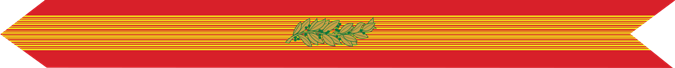 United States Marine Corps Republic of Vietnam Armed Forces Meritorious Unit Citation of the Gallantry Cross with Palm Campaign Streamer