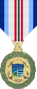 homeland security distinguished service full size medal