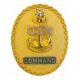 Navy ID Badges  Full Size