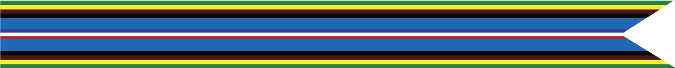 Armed Forces Expeditionary Campaign Streamer (5 silver stars, 1 bronze star) 