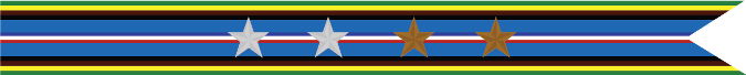 United States Navy Armed Forces Expeditionary Campaign Streamer With 2 Silver Stars & 2 Bronze Stars