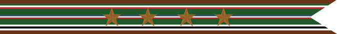 United States Navy World War 2 European-African Middle Eastern Theater Campaign Streamer
With 4 Bronze Stars