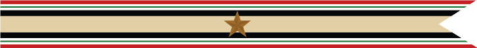 United States Navy Iraq Campaign Streamer With 1 Bronze Star